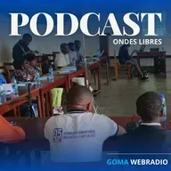 Kinésithérapie, loi organique et le fossé de l'inclusion au Nord-Kivu