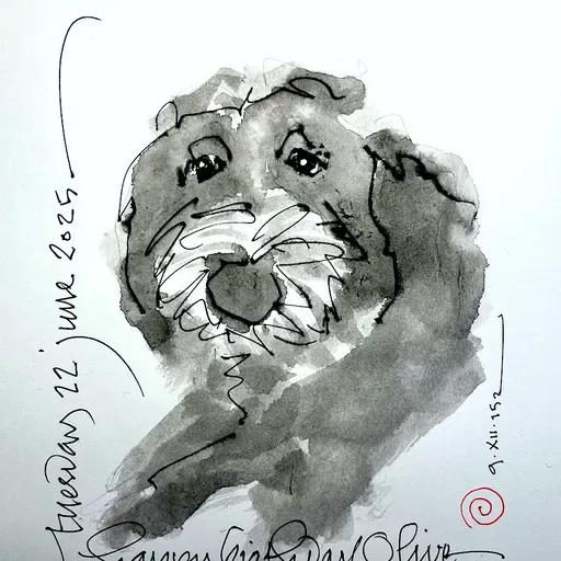 Interlude: Naci en la cumbre (Guatemalan folk tune)