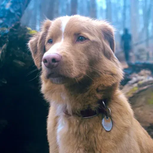 Hawt🔥Takez - Good Boy Review