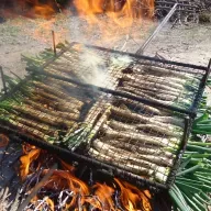 Hoy de calçotada