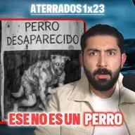 Ese NO es un PERRO