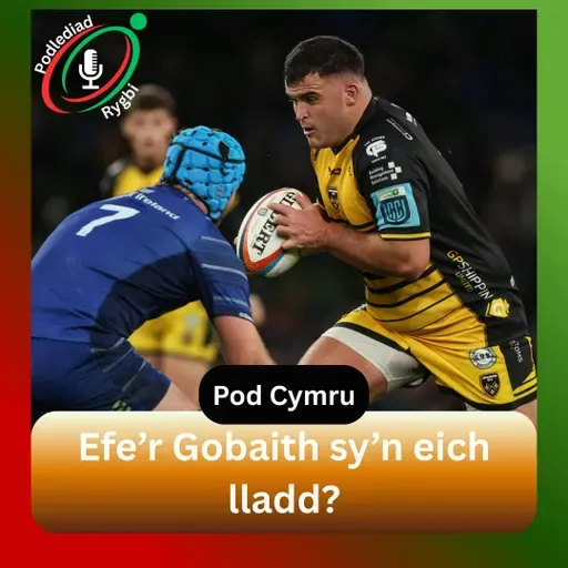 Efe’r Gobaith sy’n eich lladd?