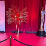 Siobhán Ní Ghadhra, Danú Media