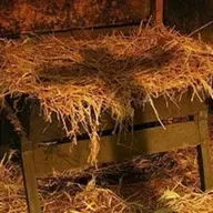 JESUS: A MAIOR E FINAL REVELAÇÃO DE DEUS