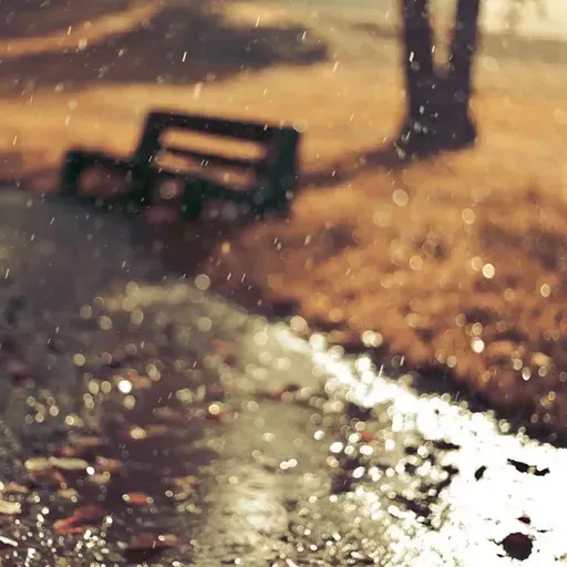 FXsound_Tarde_De_Lluvia_3Hs._FOXproducciones
