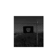 what is this podcast about?