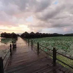 Arker Myint Mo Channel