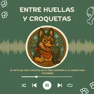 Plan anti-cohetes en 21 días: prepara a tu perro para diciembre