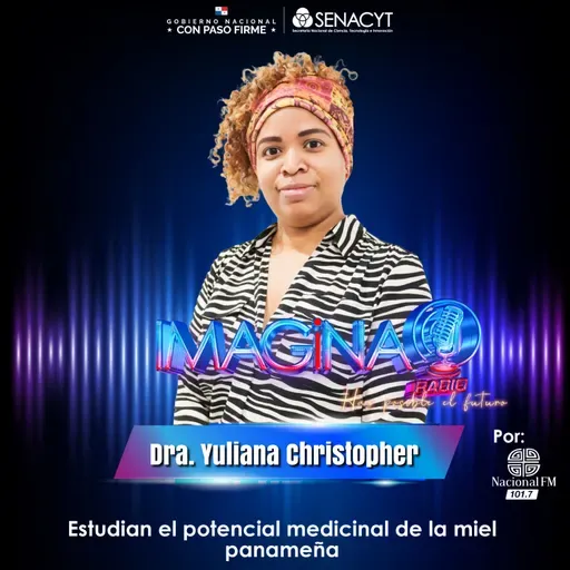 Estudian el potencial medicinal de la miel panameña