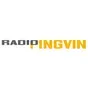 Radio Pingvin - Strana Muzika