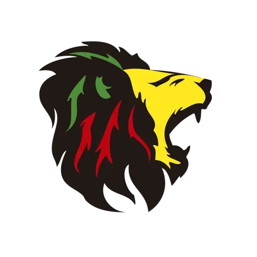 Transmisión especial vivo desde Rototom 2024