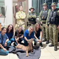 Moradores encontram onça-parda dentro de casa em Maringá