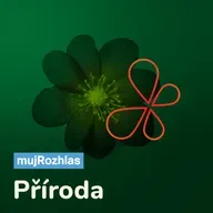 Mezi námi zvířaty: Jeskyňáře může zaskočit úraz i největší pavoučí síť na světě. Podívejte se
