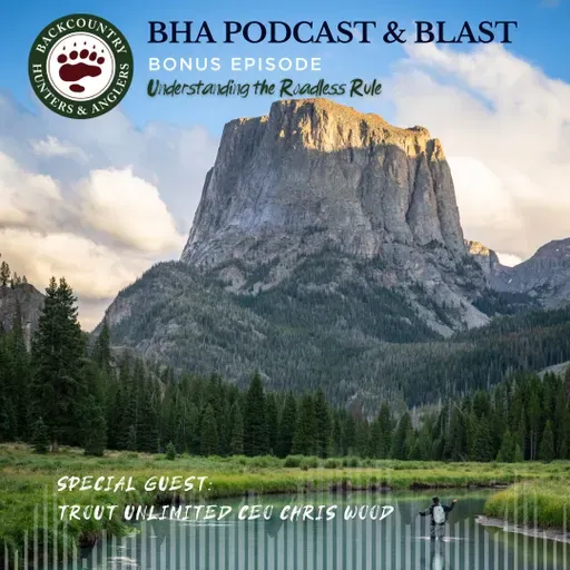 Understanding the Roadless Rule. Take Action Today!