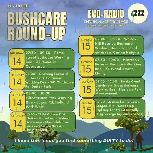 SOGHM - My Dilly Bag