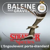 STRANGER SPECIES 1/12 : L'Engoulevent porte-étendard