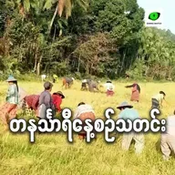 ဖေဖော်ဝါရီလ ၂၃ရက် တနင်္သာရီနေ့စဉ်သတင်း အစီအစဉ်