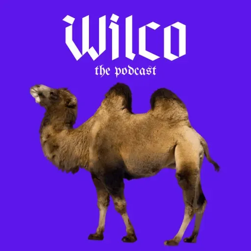 Wilco on Loneliness