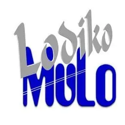 Lodiko SODONYO langsung