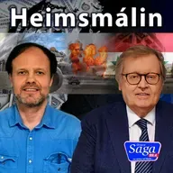 Pétur Gunnlaugsson og Haukur Hauksson