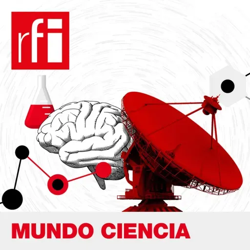 La física argentina María Teresa Dova: premio L'Oréal UNESCO 2025 For Women in Science