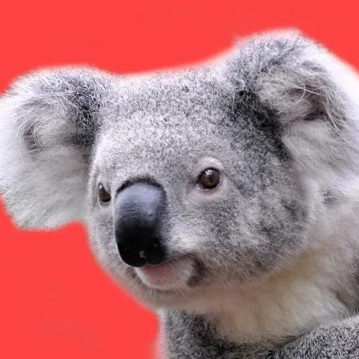 ブロンコビリーのサラダバーが大幅リニューアル！夜は焼き芋＆スパイスカリーも限定登場