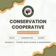 Conservation Cooperative, Ep. 2: Striped Bass