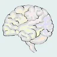 Macht Intelligenz unglücklich