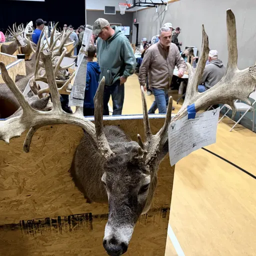 226: Owensville Deer Classic