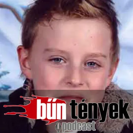 Szita Bence tragédiája – A sántosi erdőben eltűnt gyerekkor nyomában