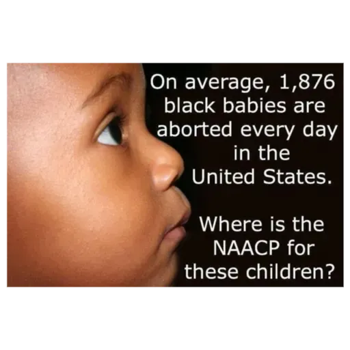 "Black Mother's" Womb Lynchings.