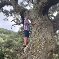 Dial Interior ( 64 -Josep Gordi ) 15 04 2026