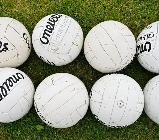 Micheal Ó Criodáin, Gearóid Ó hEalaithe, Dónal Ó Laoire