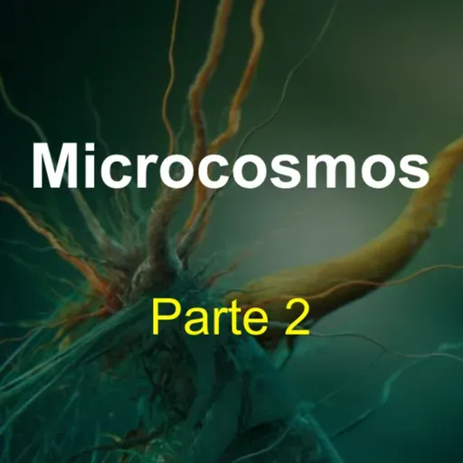 Microcosmos (parte 2) 