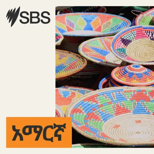 የኢትዮጵያ ውጭ ጉዳይ ሚኒስቴር በደቡብ አፍሪካ የሚኖሩ ኢትዮጵያውያንን ደህንነት በተመለከተ በአዲስ አበባ የደቡብ አፍሪካ አምባሳደርን ጠርቶ አነጋገረ