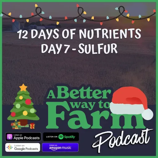 12 Days of Nutrients - Day 7: Sulfur