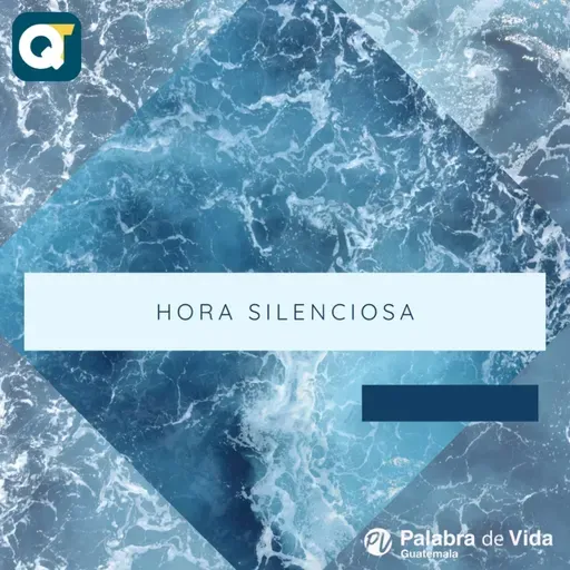 MIERCOLES 26-11-2025