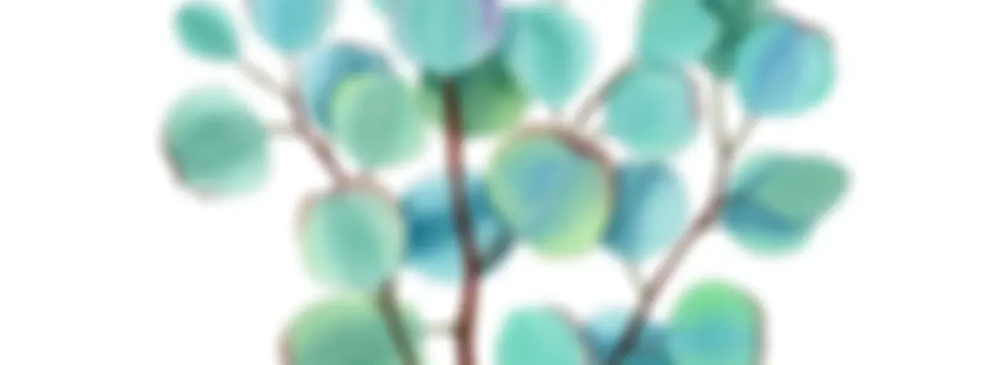 考拉的树窝