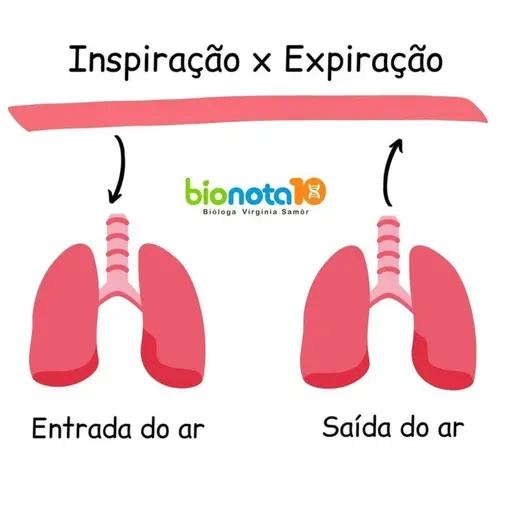Respiração
