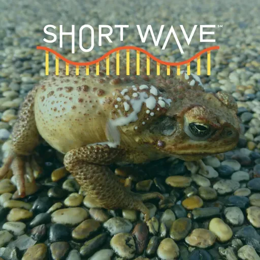 Toxic? These Animals Don't Care