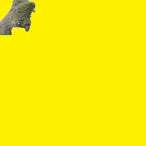 New Podcast:koncerty2