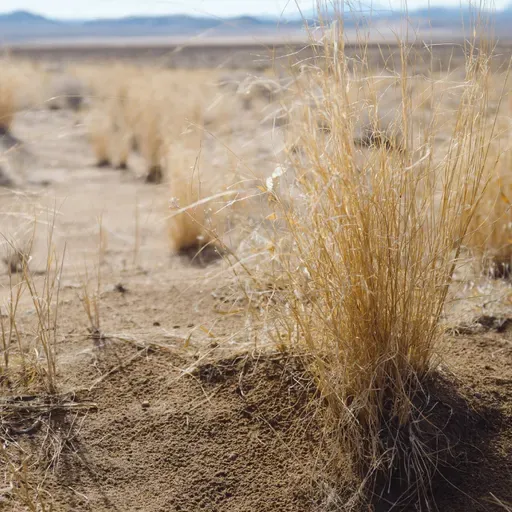 Uciekaj na pustkowie