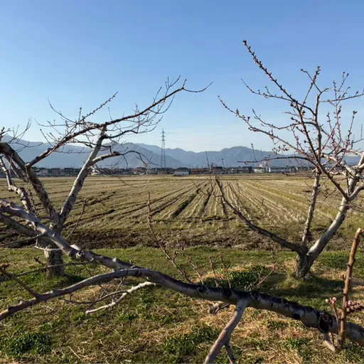 朝ラン5℃。hyhレディオのオープニング完コピと冷蔵庫と妄想と答えの出ない事態に耐える力。#1825 from Radiotalk