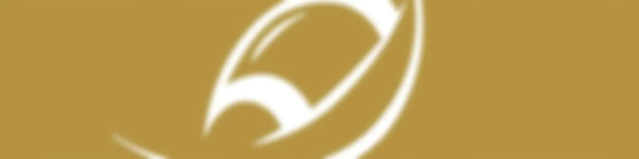 Blue & Gold Illustrated: Notre Dame Football And Recruiting