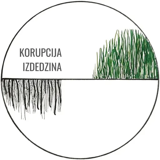 Par darbu ANO, atbalstu Ukrainai un sieviešu tiesībām pasaulē ar diplomāti Katrīnu Kaktiņu