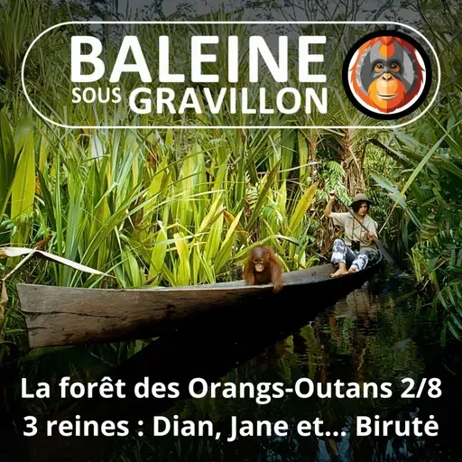 S07E114 Les Orangs-Outans 2/8 : La troisième reine (Emmanuelle Grundmann)