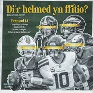 Pennod 14 - Y Playoffs. Ydi hi dal yn heulog yn Philadelphia? Superbowl Y Broncos i'w golli?