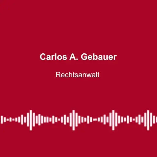#333: „Weg mit Energiesteuern“ - mit Carlos A. Gebauer