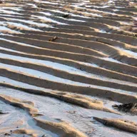 Alpine Ahnungen: Beweist das Gebirge die Plattentektonik?