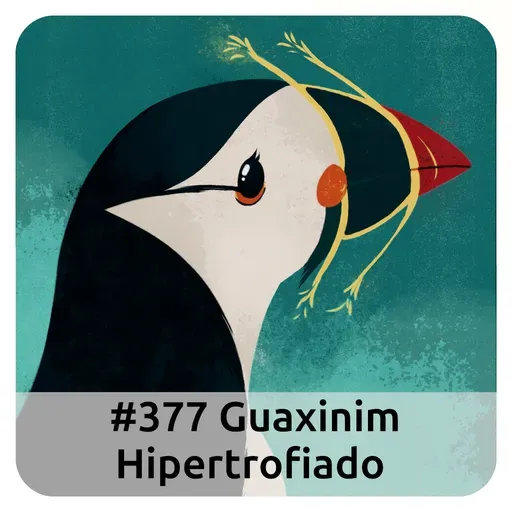E377 Guaxinim Hipertrofiado